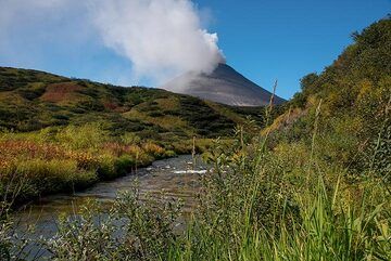 kamchatka_k17582.jpg (Photo: Tom Pfeiffer)