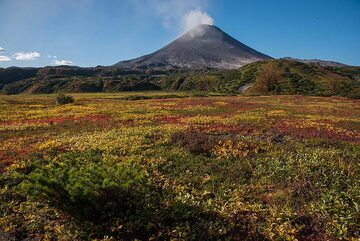 kamchatka_k17593.jpg (Photo: Tom Pfeiffer)