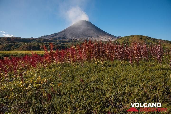 Green and red tundra colors with steaming Karymsky volcano. (Photo: Tom Pfeiffer)