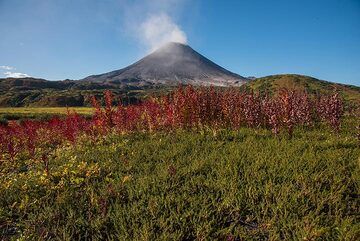 Green and red tundra colors with steaming Karymsky volcano. (Photo: Tom Pfeiffer)