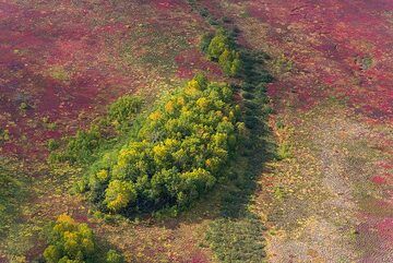 Green island (Photo: Tom Pfeiffer)