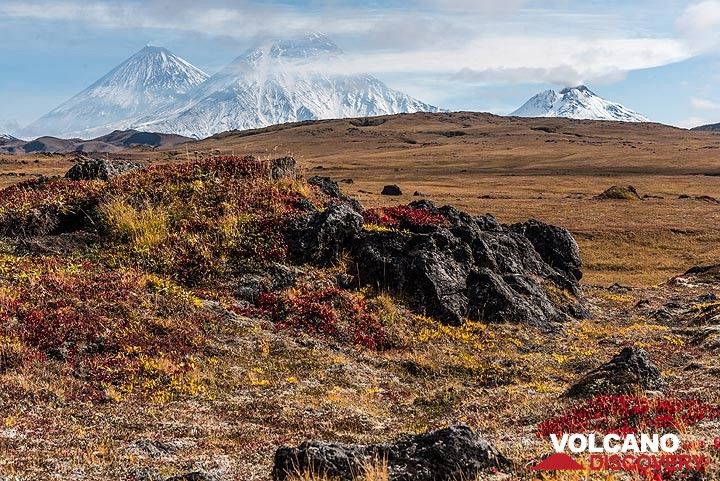 Tundra with Klyuchevskoy (l), Kamen (m) and Bezymianny (r) volcanoes. (Photo: Tom Pfeiffer)