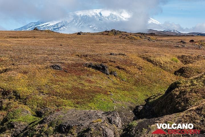 Ushkovsky volcano behind the tundra plain. (Photo: Tom Pfeiffer)