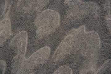 Sand patterns with miniature dune shapes (Photo: Tom Pfeiffer)