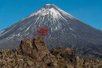 Klyuchevskoy volcano with a red tree (1) (Photo: Tom Pfeiffer)