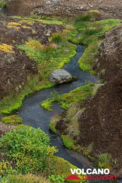Small creek (Photo: Tom Pfeiffer)