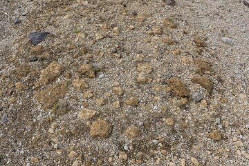 Pumice deposit forming the ground. (Photo: Tom Pfeiffer)