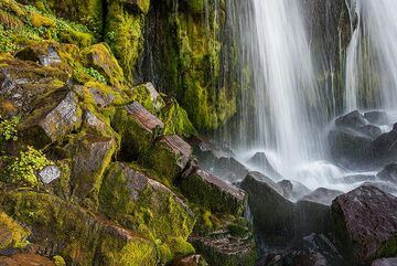 Small waterfall near the hut (Photo: Tom Pfeiffer)
