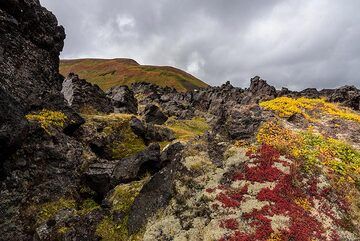 Irregular surface of an old lava flow from Gorely (Photo: Tom Pfeiffer)