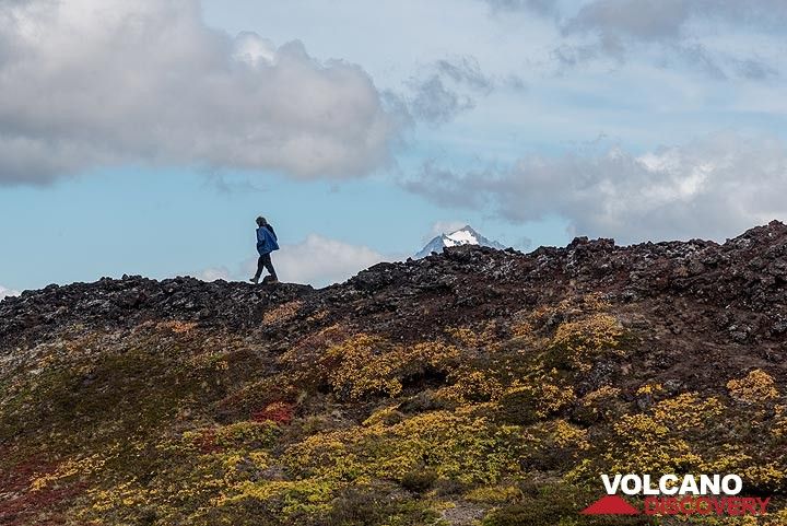 Andrej on a lava ridge with Viliuchinsky volcano in the background. (Photo: Tom Pfeiffer)
