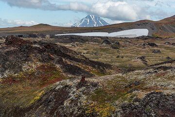 View over the vegetated lava flow towards Viluchinsky volcano (Photo: Tom Pfeiffer)