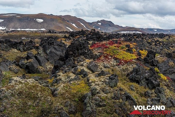 Blocky prehistoric lava flow with tundra cover (Gorely volcano) (Photo: Tom Pfeiffer)