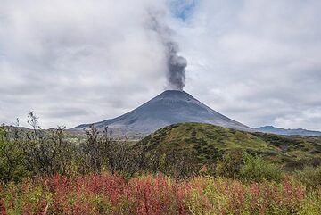 Red tundra plants and erupting Karymsky volcano (Photo: Tom Pfeiffer)