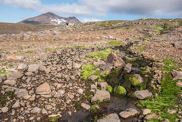 During a hike on the slopes of Mutnovsky, we cross many small creeks. (Photo: Tom Pfeiffer)