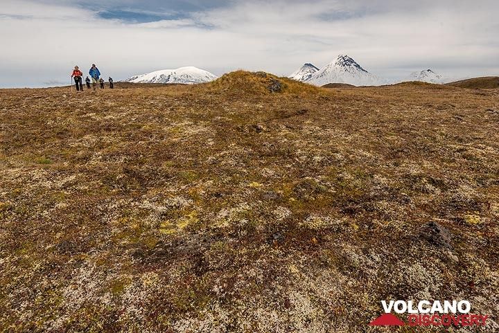 Walking through the tundra with such views is pure pleasure. (Photo: Tom Pfeiffer)