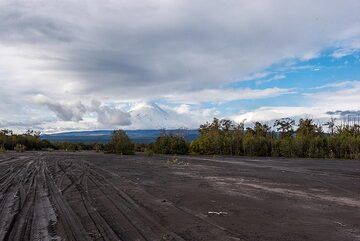 En route vers le volcan Klyuchevsky depuis le côté nord : nous nous trouvons à ses pieds dans une plaine inondable sans fin, constituée de sable volcanique emporté par les pentes du volcan lors d'innombrables pluies. (Photo: Tom Pfeiffer)