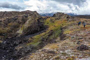 We use the fine weather to stroll around between cinder cones, young and old lava flows. (Photo: Tom Pfeiffer)