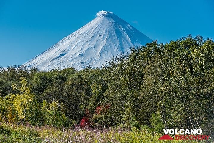View towards Klyuchevskoy volcano from our hotel (Photo: Tom Pfeiffer)