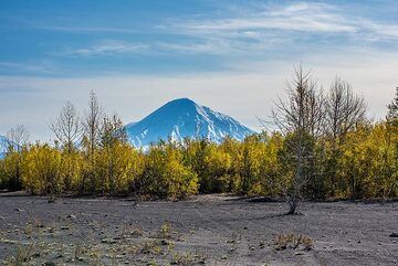 kamchatka_k24901.jpg (Photo: Tom Pfeiffer)