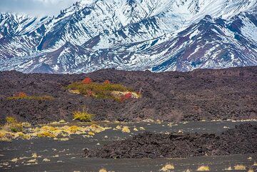 Small kipuka (patch of old ground spared by the lava flow, literally meaning "island" in Hawaiian language) on the western lava flow field of the 2012-13 eruption. (Photo: Tom Pfeiffer)