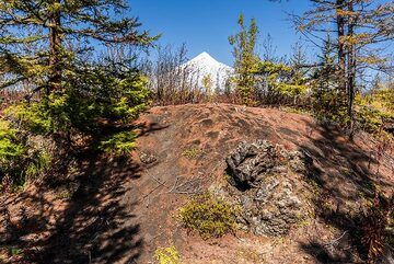 View of Tolbachik from the forest road (Photo: Tom Pfeiffer)