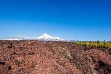 View towards Tolbachik from the vast 2012-13 lava flow (Photo: Tom Pfeiffer)