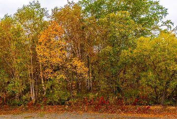 Autumn colors (Photo: Tom Pfeiffer)