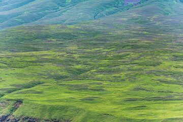 The flat lower slopes of Alaid volcano (Photo: Tom Pfeiffer)