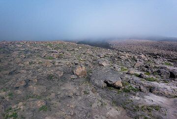 Die anhaltende, zeitweise explosive Aktivität hat die Gebiete in der Nähe des aktiven Kraters mit einer dicken Schicht grauer Asche überzogen. (Photo: Tom Pfeiffer)