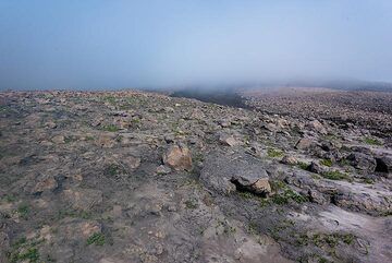 Ongoing intermittent explosive activity has coated the areas near the active crater with a thick layer of gray ash. (Photo: Tom Pfeiffer)