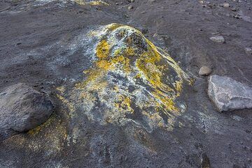 Weak fumarole forming a mound on the ground. (Photo: Tom Pfeiffer)