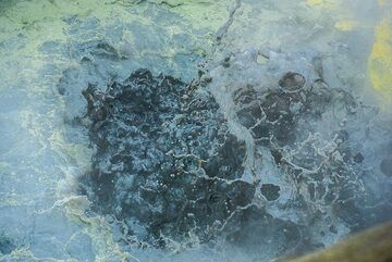 Greenish-gray boiling mud (Photo: Tom Pfeiffer)