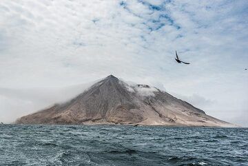 Durante nuestra expedición piloto al norte de las Kuriles en julio de 2019, logramos llegar a la muy remota y aislada isla de Raikoke, que acababa de sufrir una gran erupción tres semanas antes. La erupción transformó una isla previamente exuberante,  (Photo: Tom Pfeiffer)