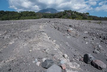 The pyroclastic flow deposit at the exit of the Montitlán ravine; its surface is still barren, but small fluvial channels have started to form. (Photo: Tom Pfeiffer)