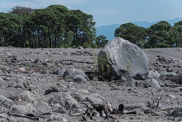 Certains blocs font plusieurs mètres de diamètre, autrefois des morceaux du dôme de lave au sommet du volcan. (Photo: Tom Pfeiffer)