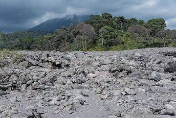 colima_k04425.jpg (Photo: Tom Pfeiffer)