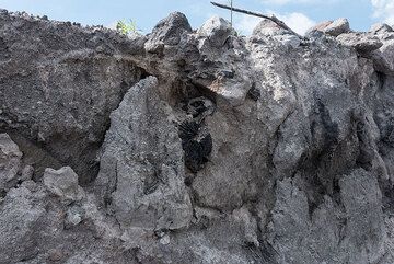 The latest erosion allows to study fresh cross-sections of the pyroclastic flow deposit. (Photo: Tom Pfeiffer)