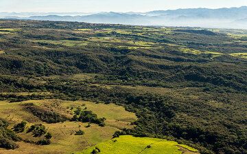 View over the plain of volcanic deposits at the feet of Colima towards the SW (Photo: Tom Pfeiffer)