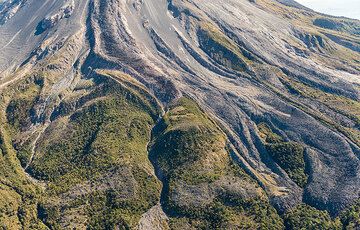 Details of the viscous lava flows reaching the vegetated base of Colima's summit cone. (Photo: Tom Pfeiffer)
