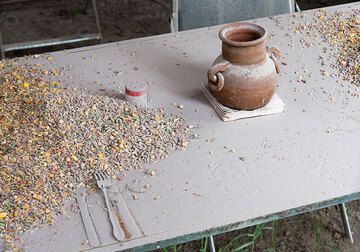 Corn - food for the chicken - has been left on the table of the tavern when people left. (Photo: Tom Pfeiffer)