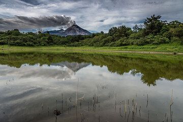 No explosions have been observed after 14 July, but a dense steam plume rises from the volcano on 15 July. (Photo: Tom Pfeiffer)