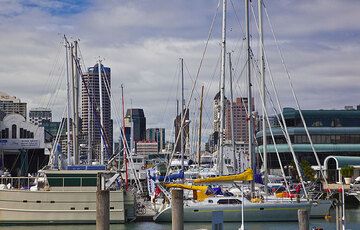 In the harbour of Auckland (Photo: Tom Pfeiffer)