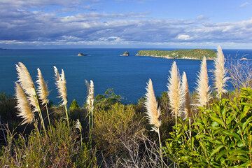 Paisaje costero en Cathedral Cove, Hahei (Península de Coromandel, Nueva Zelanda) (Photo: Tom Pfeiffer)