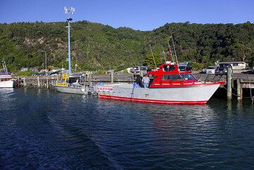 El puerto de barcos de Whakatane, la puerta a la Isla Blanca (Photo: Tom Pfeiffer)