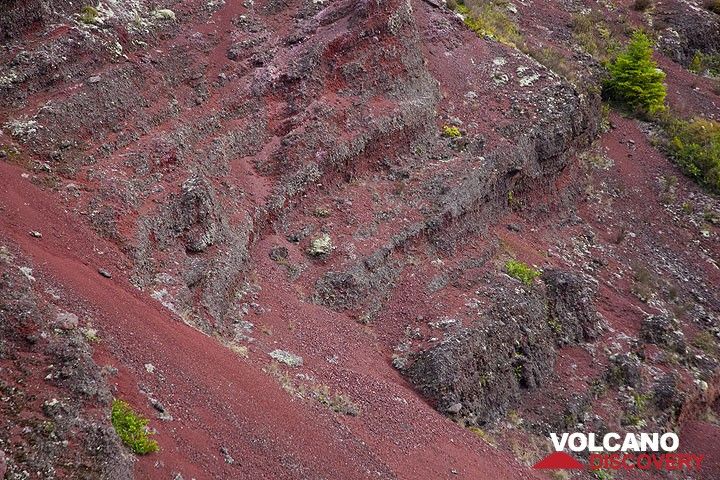Couches de scories rouges provenant des fontaines de lave lors de la violente éruption du mont Tarawera en 1866 en Nouvelle-Zélande (Photo: Tom Pfeiffer)