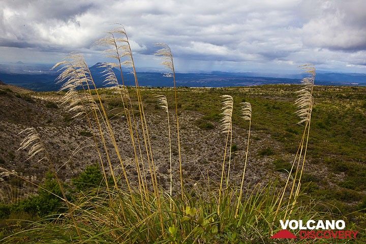Panorama over the Taupo volcanic zone seen from the rim of Tarawera volcano (Photo: Tom Pfeiffer)