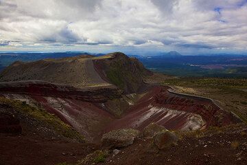 nz_i30467.jpg (Photo: Tom Pfeiffer)