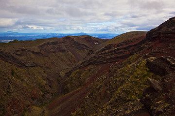 nz_i30469.jpg (Photo: Tom Pfeiffer)