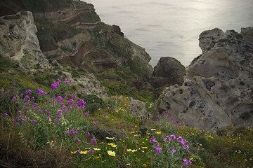 Bimssteinfelsen auf Santorini im Frühling (Photo: Tom Pfeiffer)