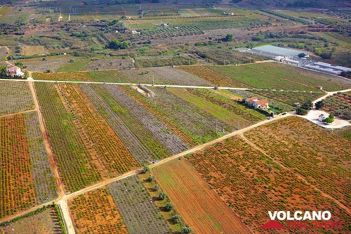 Fields near Marcopoulo (Athens airport) (Photo: Tom Pfeiffer)